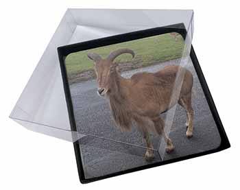 4x Cute Nanny Goat Picture Table Coasters Set in Gift Box