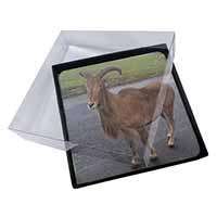 4x Cute Nanny Goat Picture Table Coasters Set in Gift Box