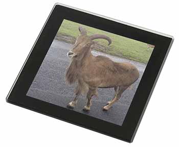 Cute Nanny Goat Black Rim High Quality Glass Coaster