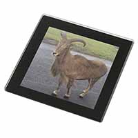 Cute Nanny Goat Black Rim High Quality Glass Coaster