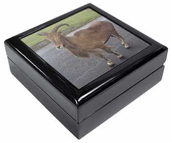 Cute Nanny Goat Keepsake/Jewellery Box