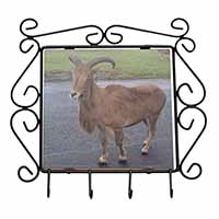 Cute Nanny Goat Wrought Iron Key Holder Hooks