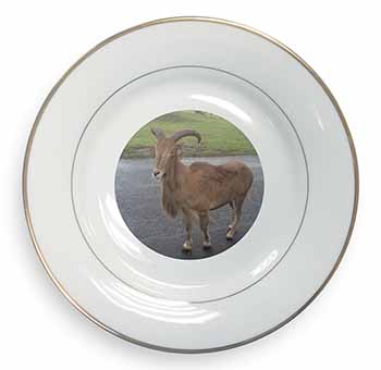 Cute Nanny Goat Gold Rim Plate Printed Full Colour in Gift Box