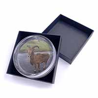 Cute Nanny Goat Glass Paperweight in Gift Box