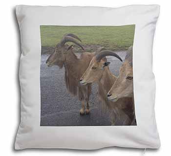 Three Cheeky Goats Soft White Velvet Feel Scatter Cushion