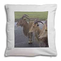Three Cheeky Goats Soft White Velvet Feel Scatter Cushion