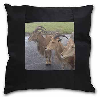 Three Cheeky Goats Black Satin Feel Scatter Cushion