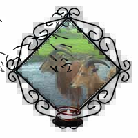 Three Cheeky Goats Wrought Iron Wall Art Candle Holder