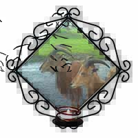 Three Cheeky Goats Wrought Iron Wall Art Candle Holder