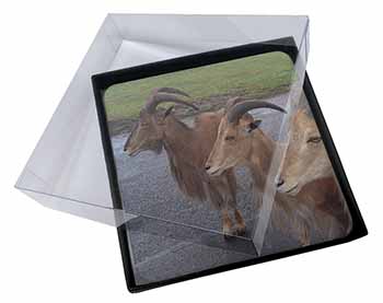 4x Three Cheeky Goats Picture Table Coasters Set in Gift Box