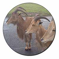 Three Cheeky Goats Fridge Magnet Printed Full Colour