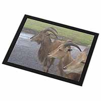 Three Cheeky Goats Black Rim High Quality Glass Placemat