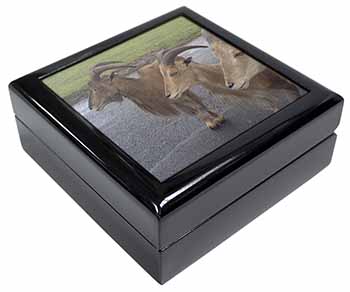 Three Cheeky Goats Keepsake/Jewellery Box