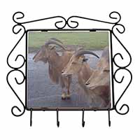 Three Cheeky Goats Wrought Iron Key Holder Hooks