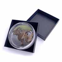 Three Cheeky Goats Glass Paperweight in Gift Box