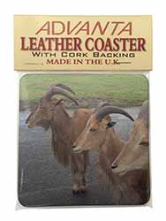 Three Cheeky Goats Single Leather Photo Coaster