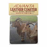 Three Cheeky Goats Single Leather Photo Coaster