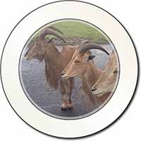 Three Cheeky Goats Car or Van Permit Holder/Tax Disc Holder