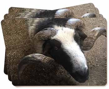 New Goat Face Picture Placemats in Gift Box