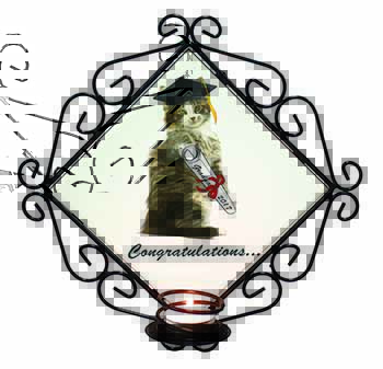 Graduation Cat 