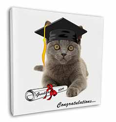 Graduation Blue Cat 