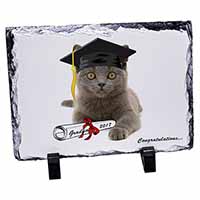 Graduation Blue Cat 