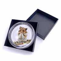 Lunch Box Hamster Glass Paperweight in Gift Box