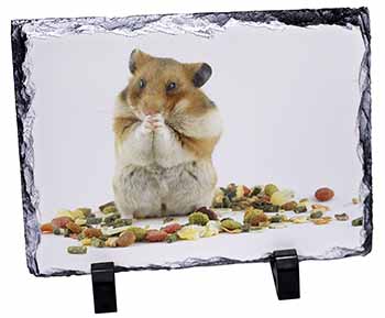 Lunch Box Hamster, Stunning Photo Slate