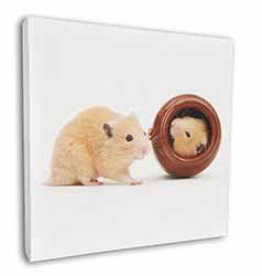 Hamsters in Play Pot Square Canvas 12"x12" Wall Art Picture Print