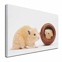 Hamsters in Play Pot Canvas X-Large 30"x20" Wall Art Print