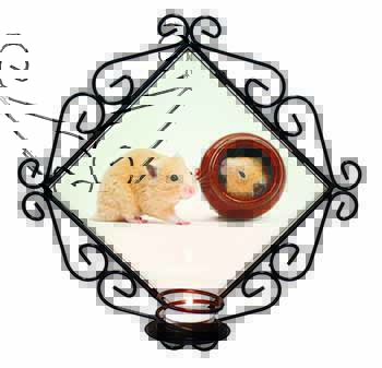 Hamsters in Play Pot Wrought Iron Wall Art Candle Holder