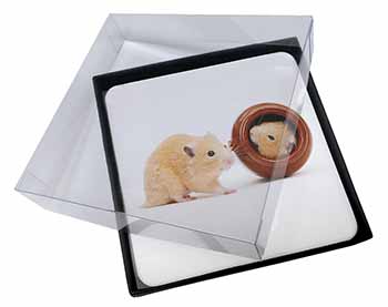 4x Hamsters in Play Pot Picture Table Coasters Set in Gift Box
