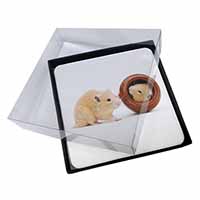 4x Hamsters in Play Pot Picture Table Coasters Set in Gift Box