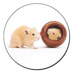 Hamsters in Play Pot Fridge Magnet Printed Full Colour