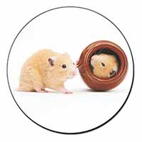 Hamsters in Play Pot Fridge Magnet Printed Full Colour