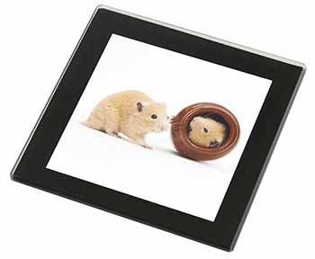 Hamsters in Play Pot Black Rim High Quality Glass Coaster