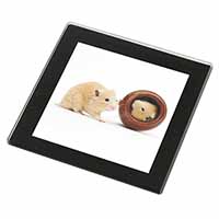 Hamsters in Play Pot Black Rim High Quality Glass Coaster