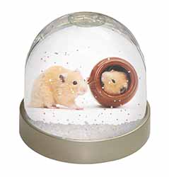 Hamsters in Play Pot Snow Globe Photo Waterball