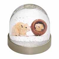 Hamsters in Play Pot Snow Globe Photo Waterball