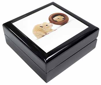 Hamsters in Play Pot Keepsake/Jewellery Box