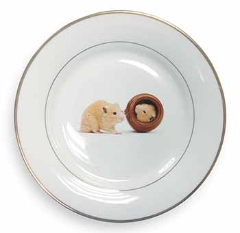 Hamsters in Play Pot Gold Rim Plate Printed Full Colour in Gift Box