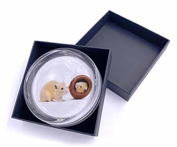 Hamsters in Play Pot Glass Paperweight in Gift Box