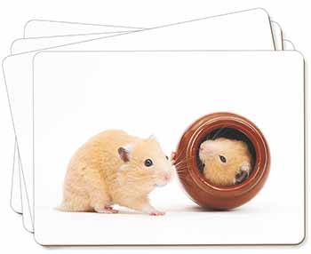 Hamsters in Play Pot Picture Placemats in Gift Box