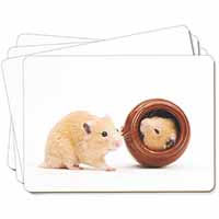 Hamsters in Play Pot Picture Placemats in Gift Box