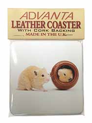 Hamsters in Play Pot Single Leather Photo Coaster