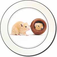Hamsters in Play Pot Car or Van Permit Holder/Tax Disc Holder