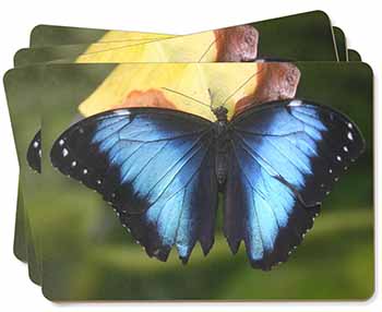 Butterflies Picture Placemats in Gift Box