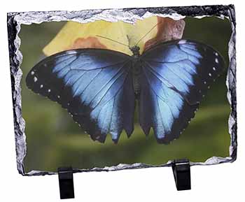 Butterflies, Stunning Photo Slate