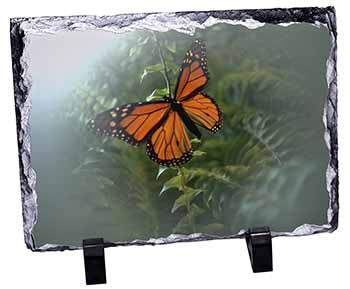 Red Butterfly in the Mist, Stunning Animal Photo Slate