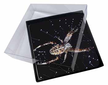 4x Spider on His Dew Drop Web Craft Picture Table Coasters Set in Gift Box